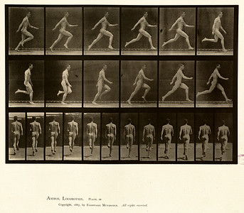 16 - Vol 1 - Plate 64